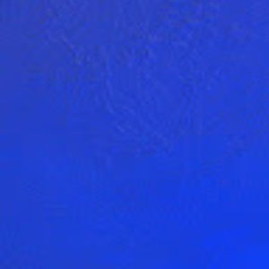 Meet your Posher, Leo